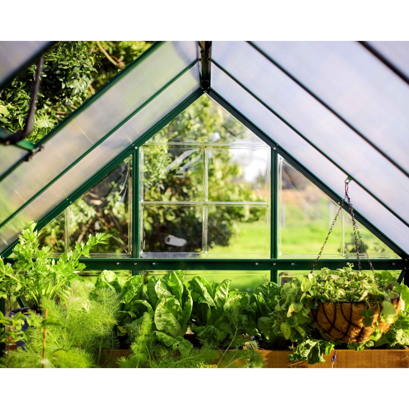 Palram - Canopia Hybrid 6' X 10' Greenhouse - Green (HG5510G) - Image 5